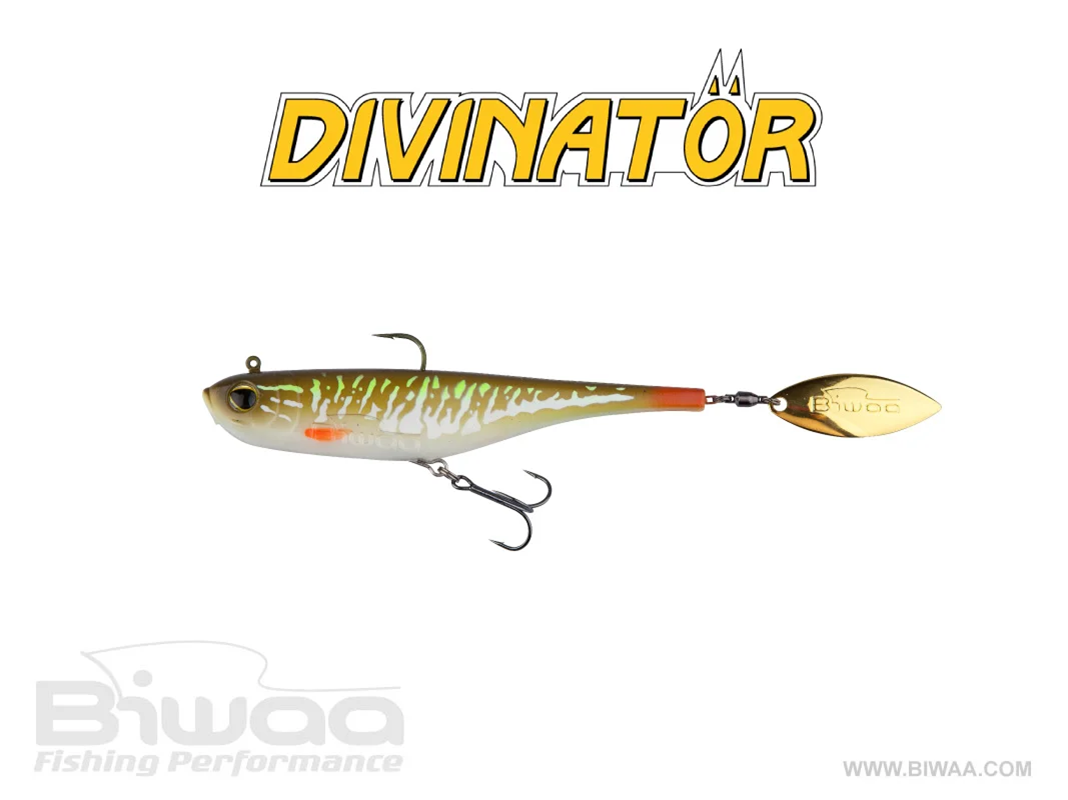 BIWAA DIVINATÖR 200 55G
