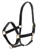 Covalliero Licol P/E 2025 Noir Taille Cob