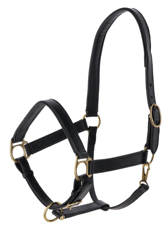 Covalliero Licol P/E 2025 Corail Taille Cob