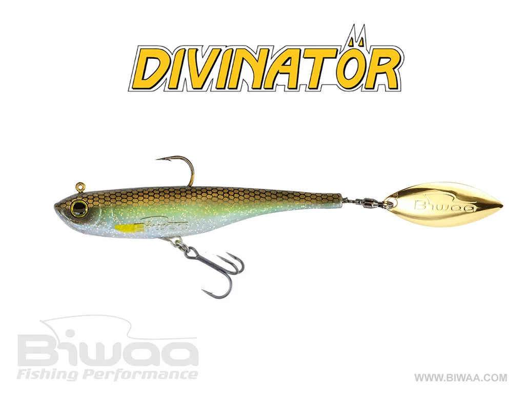 BIWAA DIVINATÖR 200 55G