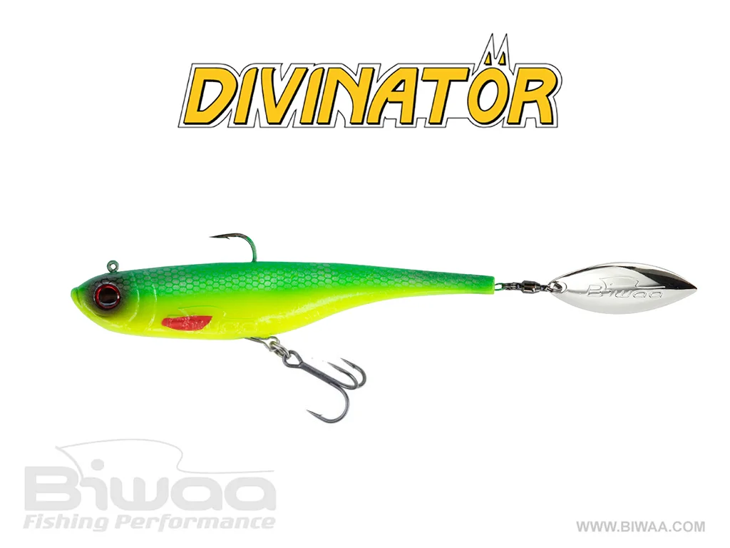 BIWAA DIVINATÖR 200 55G