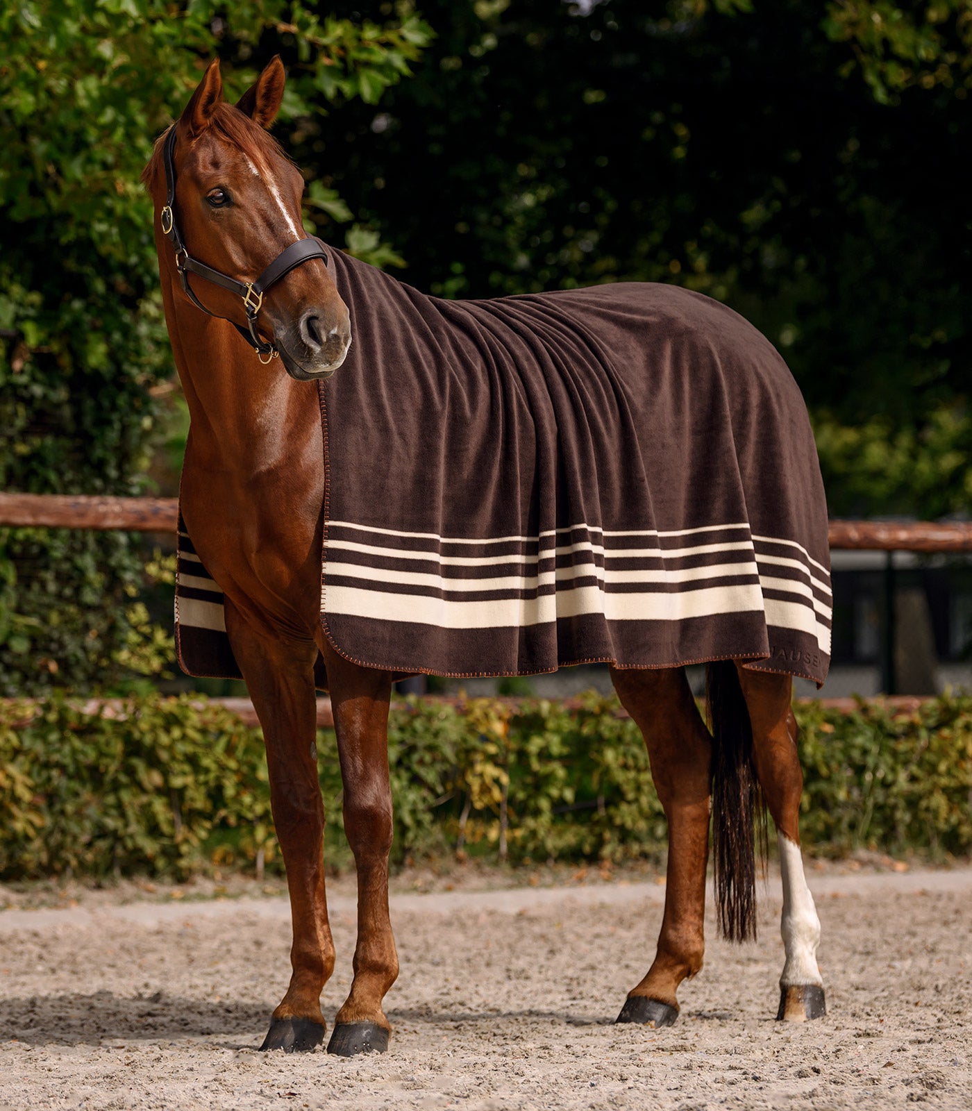 Waldha Comfort Couvre-Reins Impermeable Bleu Marine Pon