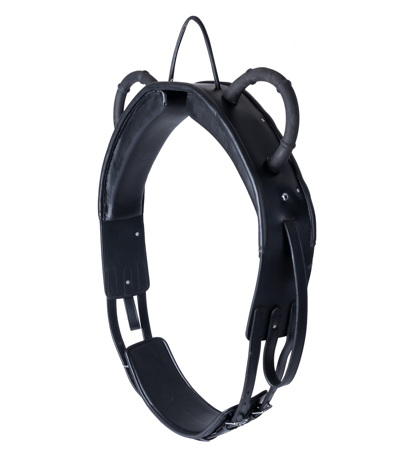 Star Muserolle Croisee Noir Cob
