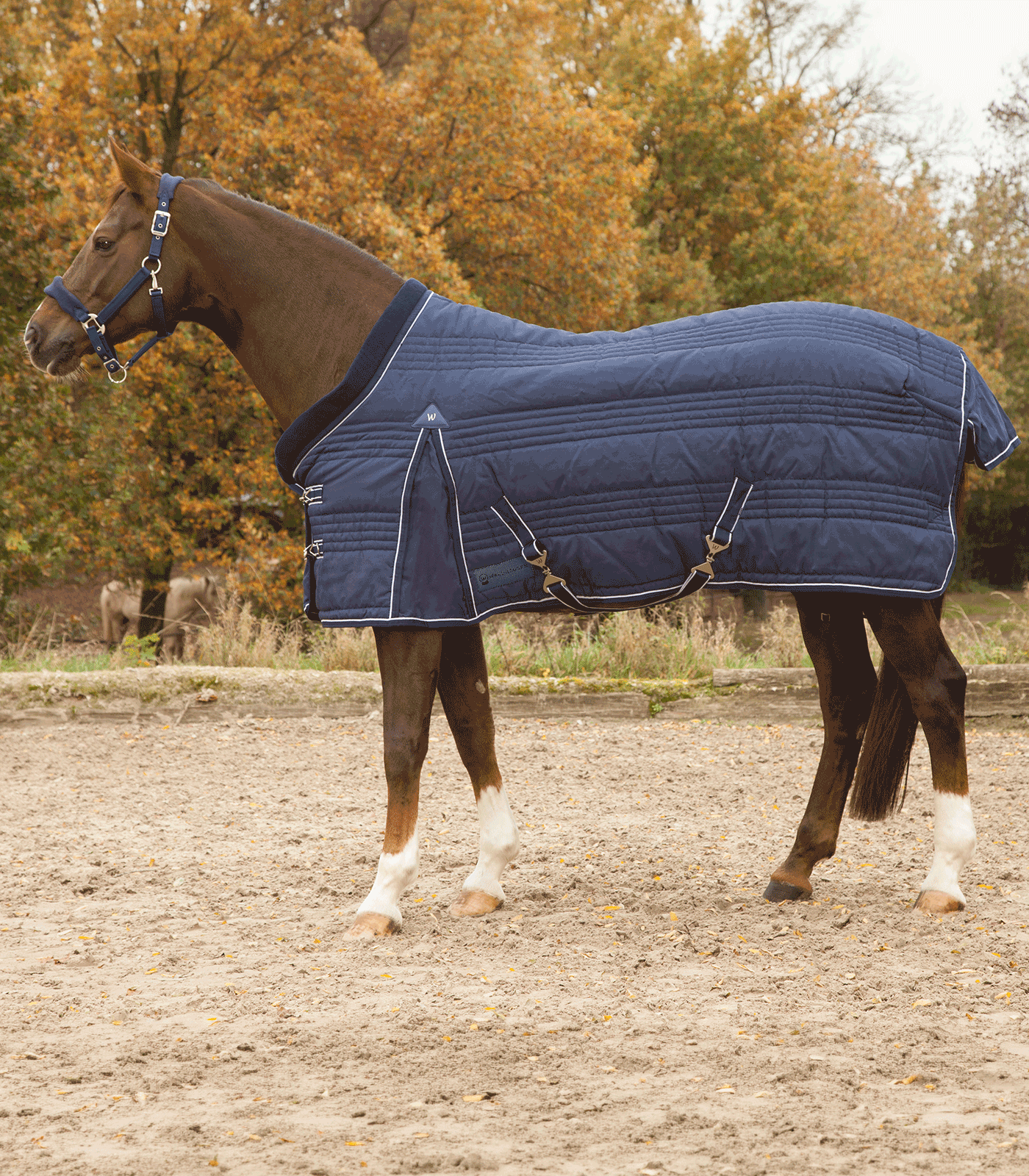 Waldha Comfort Couverture Ecurie 200G Bleu Nocturne 135 Cm
