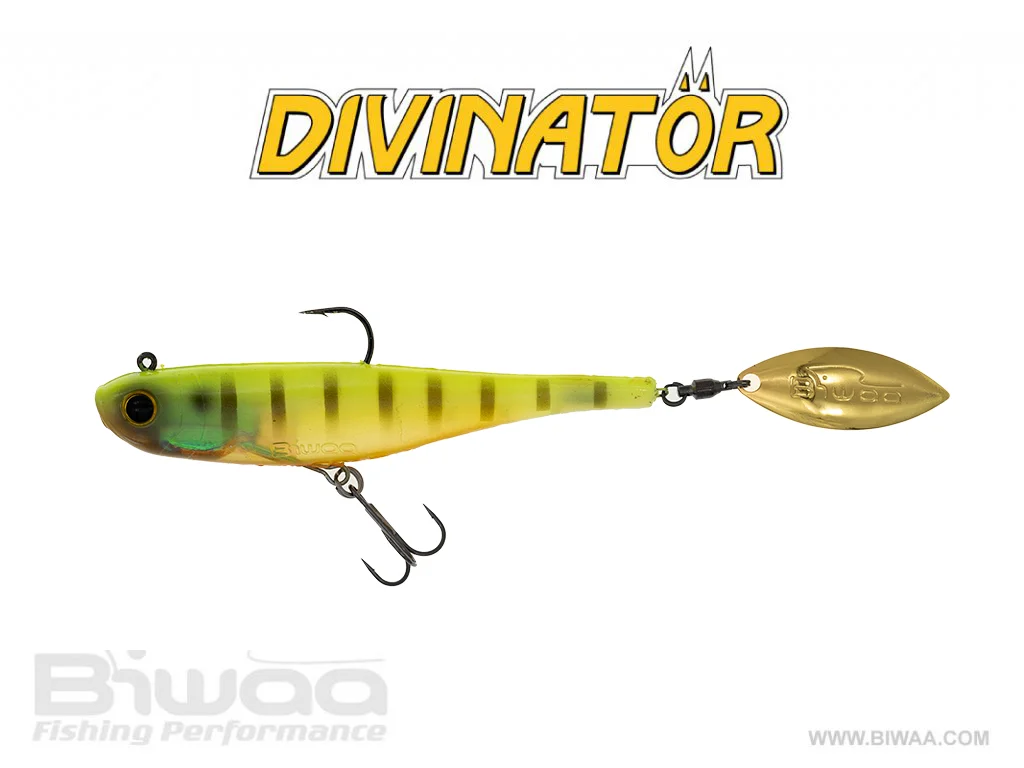 BIWAA DIVINATÖR 200 55G