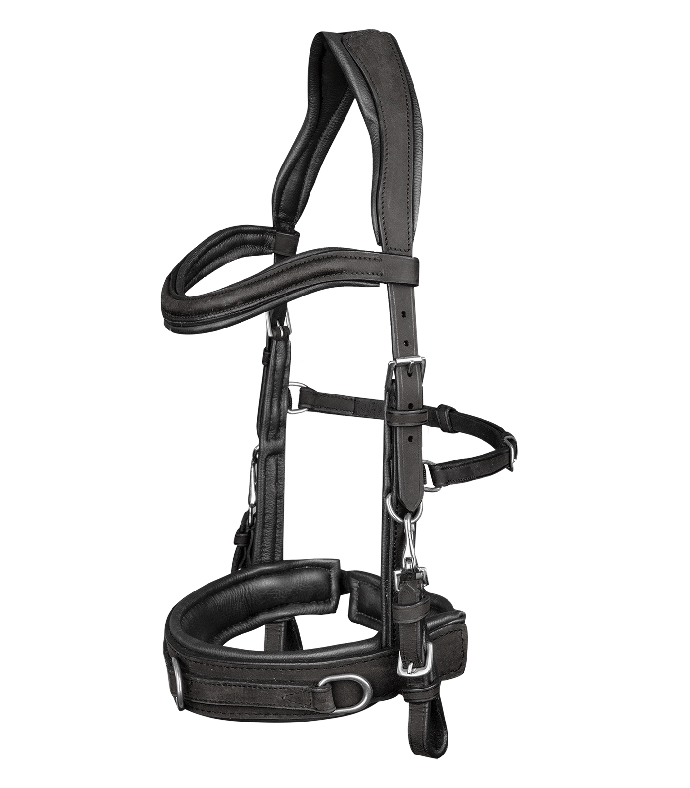 Waldha Cavecon Anatomic