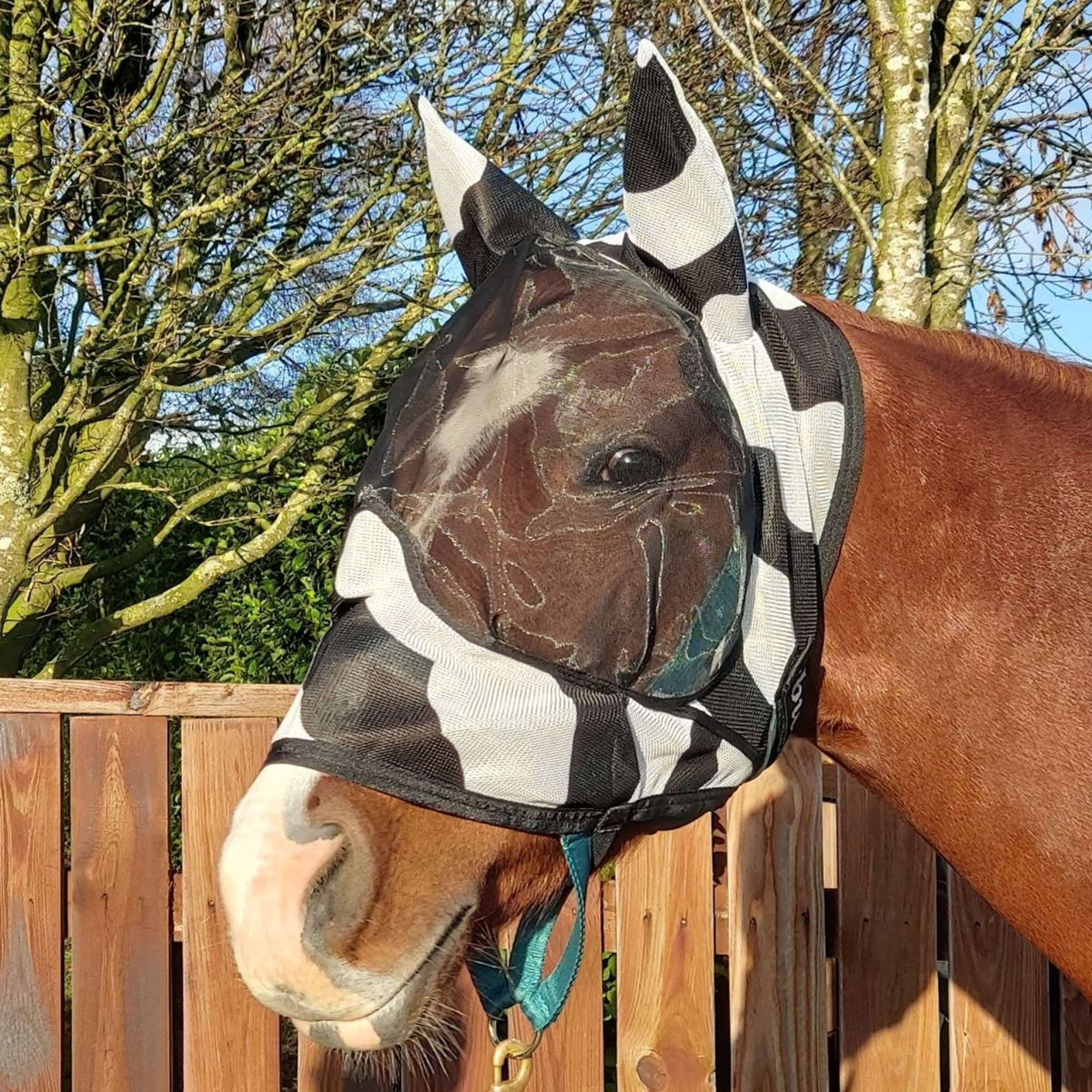 BUCAS MASQUE ANTI MOUCHE ZEBRA