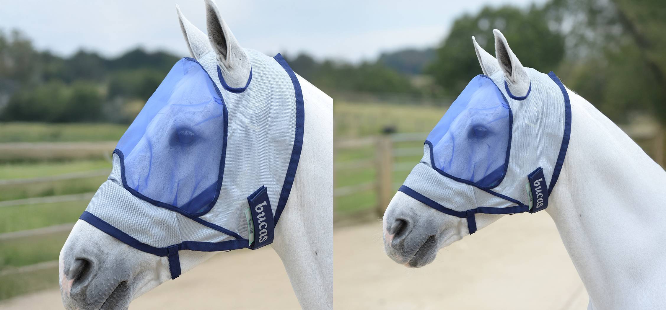 BUCAS MASQUE ANTI MOUCHE SANS OREILLE DELUXE BLEU