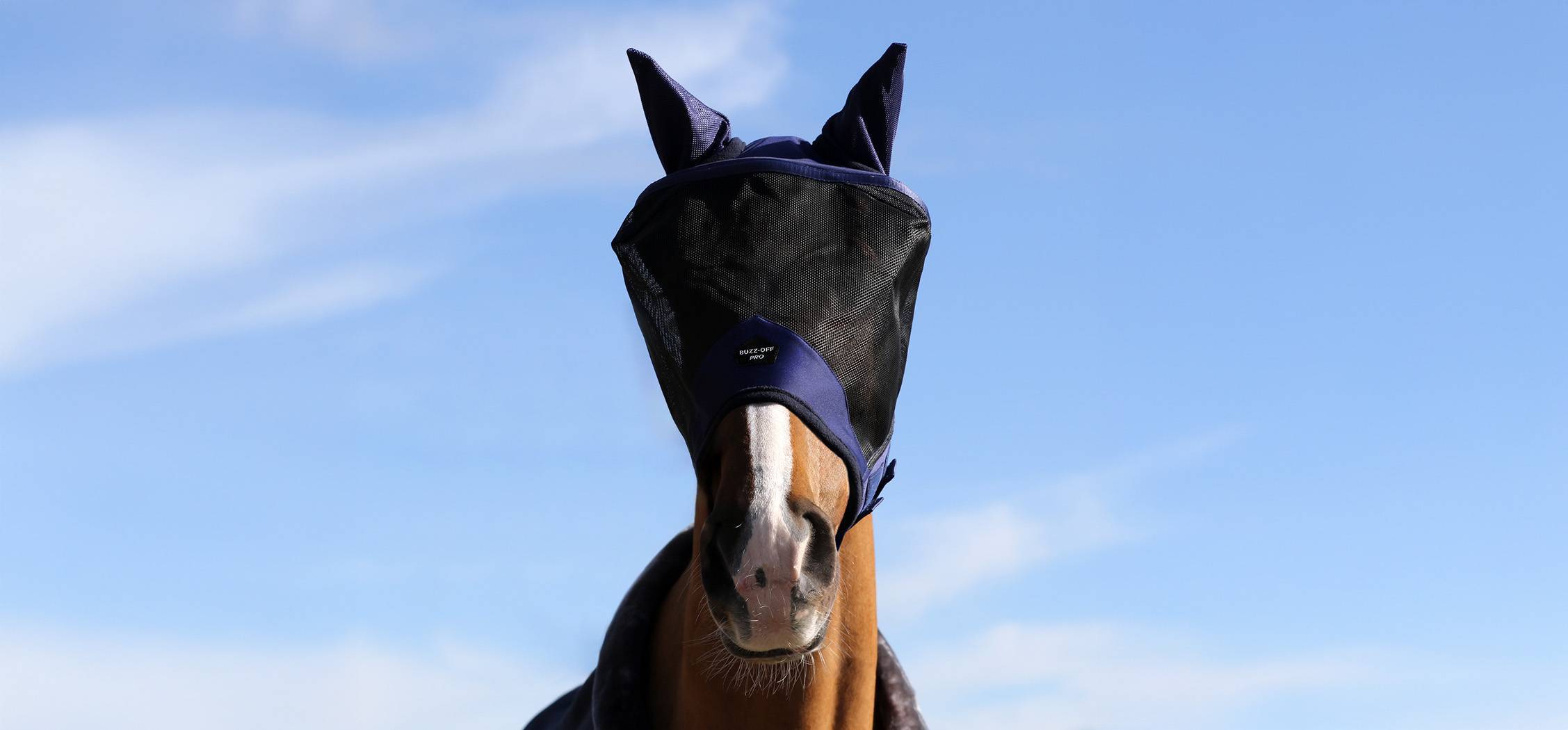 BUCAS MASQUE ANTI MOUCHE BUZZ OFF PRO