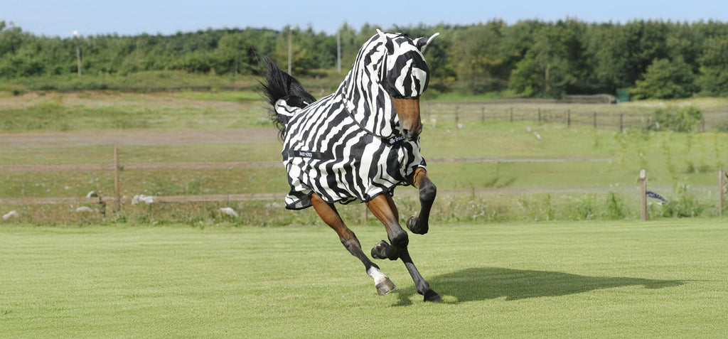 BUCAS MASQUE ANTI MOUCHE ZEBRA