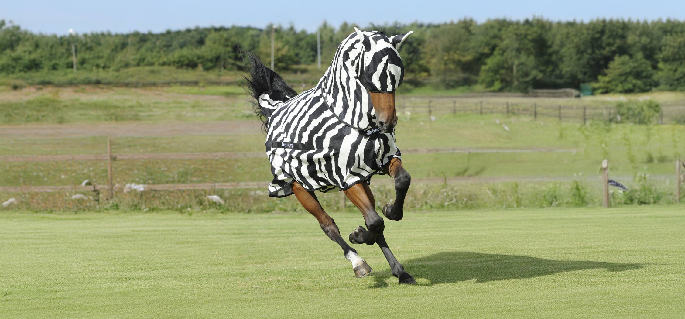 BUCAS MASQUE ANTI MOUCHE ZEBRA