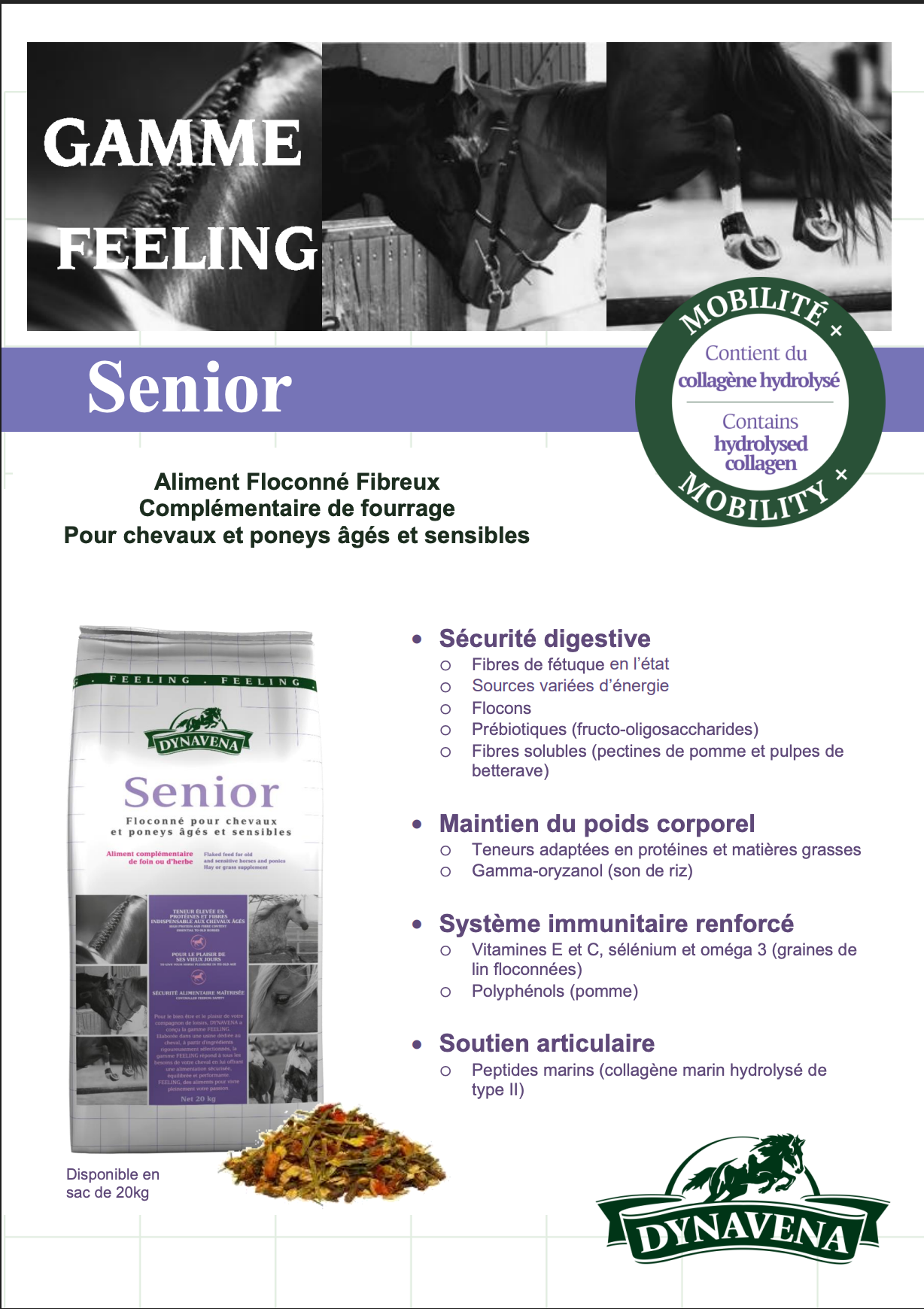 DYNAVENA SENIOR 20KG