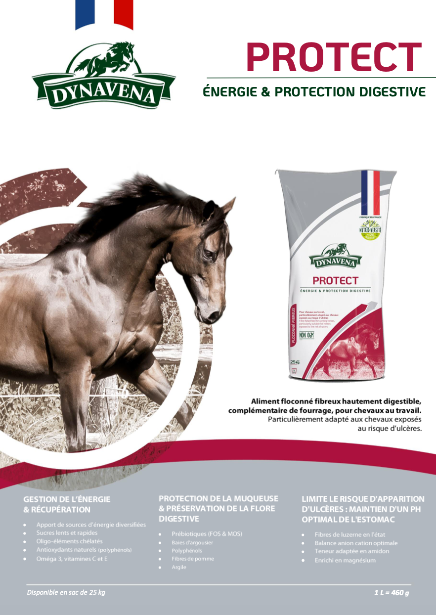 DYNAVENA PROTECT 25KG - CHEVAUX ULCEREUX