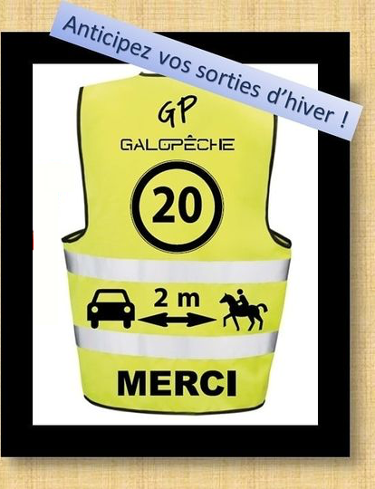 GALOPECHE GILET FLUO