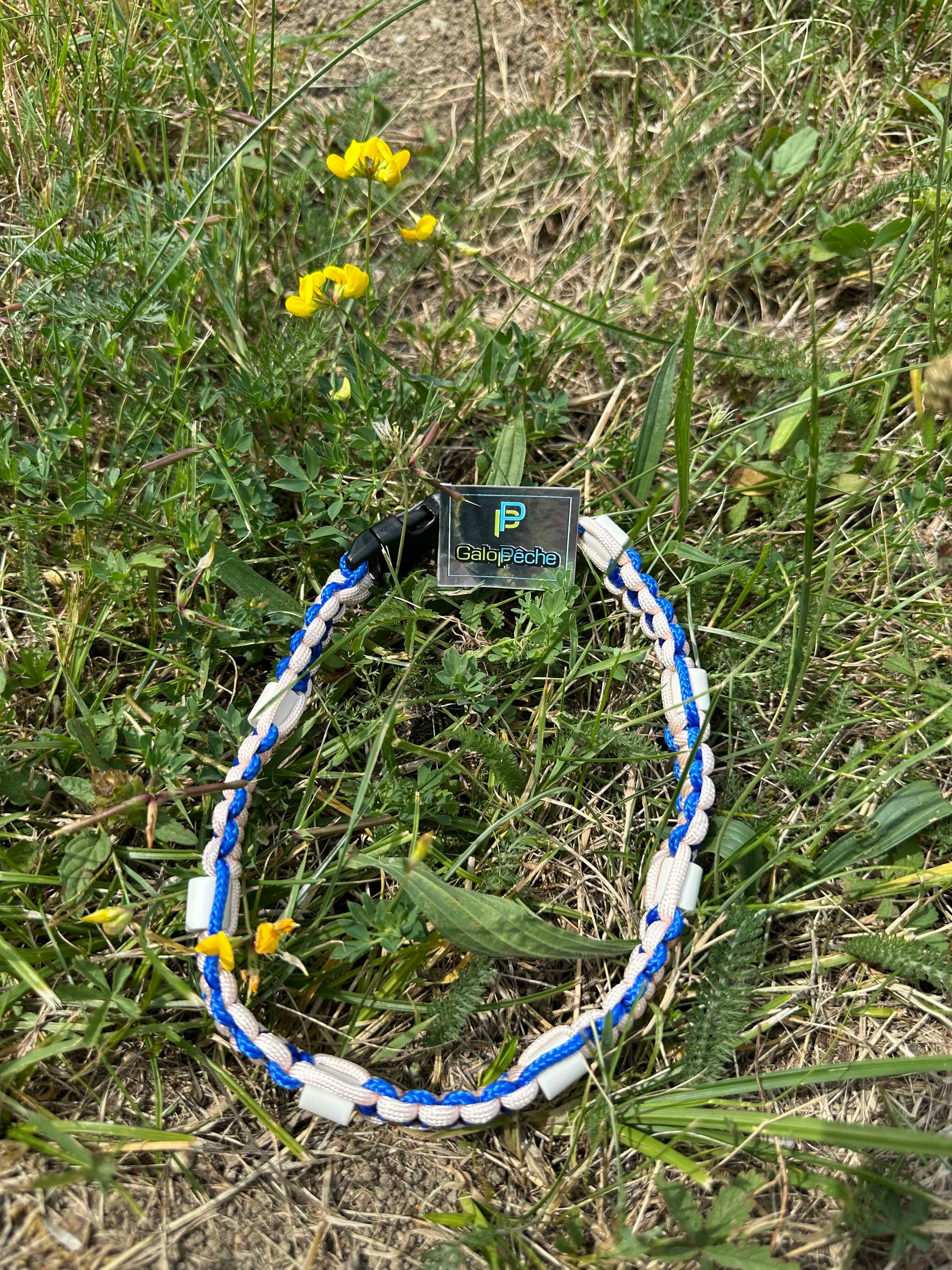 COLLIER ANTI-TIQUES POUR CHIEN