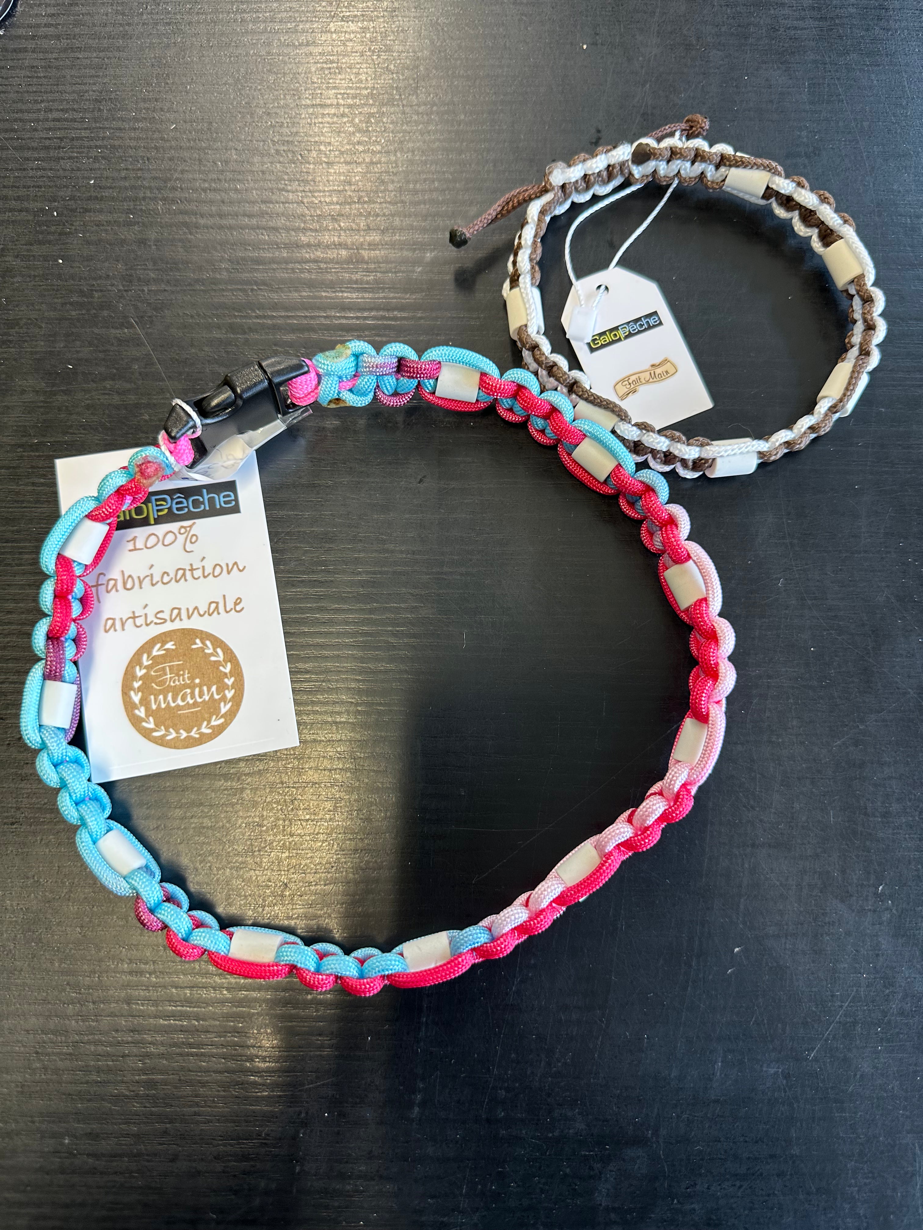 COLLIER ANTI-TIQUES POUR CHIEN