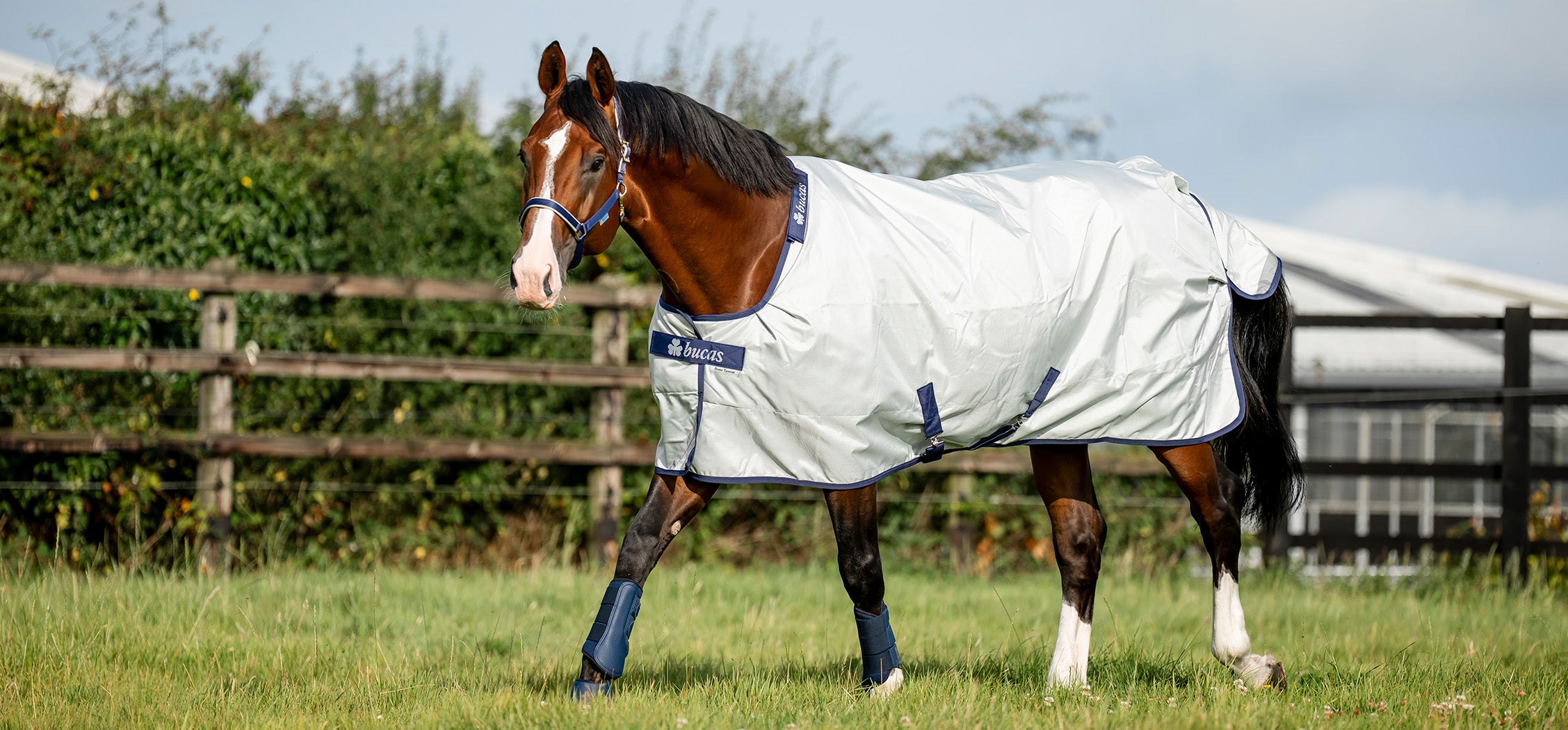 Bucas Couverture Power Turnout Medium 150G
