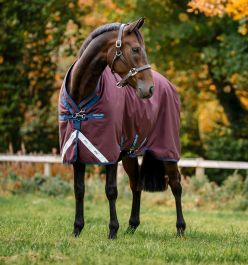 Horseware Couverture Amigo Ameco 12 Plus 100G