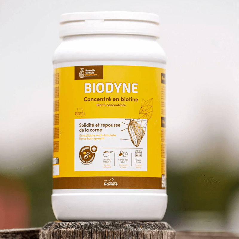 RAVENE BIODYNE 1KG