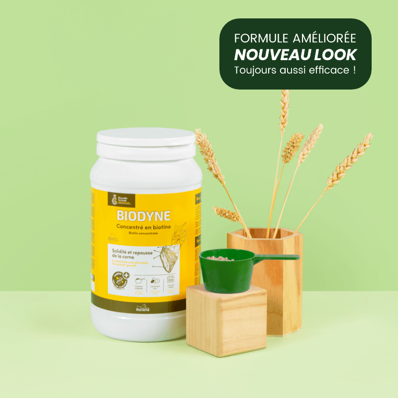 RAVENE BIODYNE 1KG