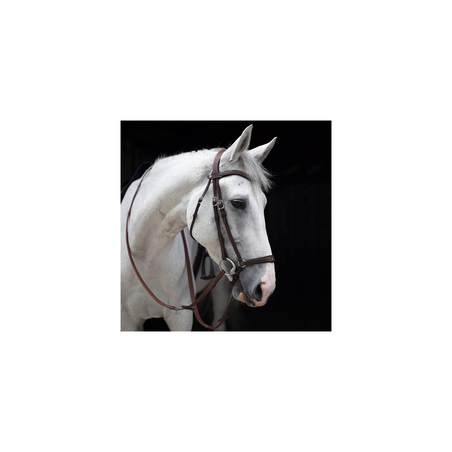 Antares Bridon Dressage Signature
