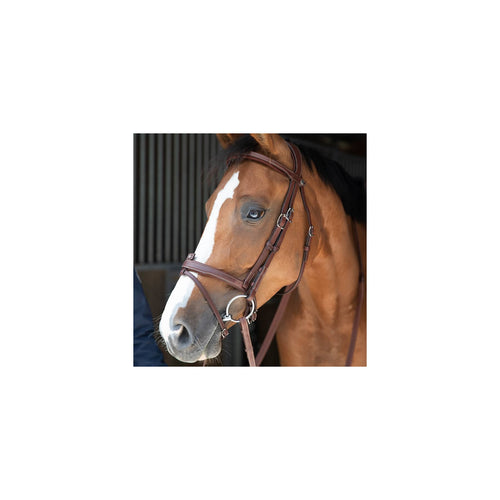 Antares Bridon Signature Muserolle Combinee Marron