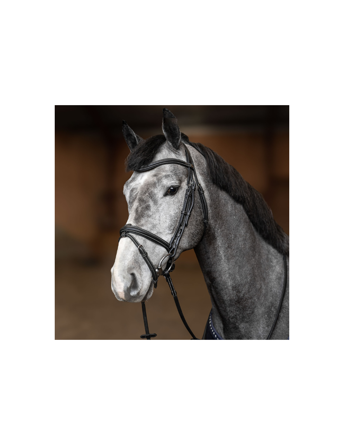Hfi Bridon Combine Flex Noir Taille Full