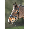 Hfi Bridon Shiny Marron/Or Taille Full
