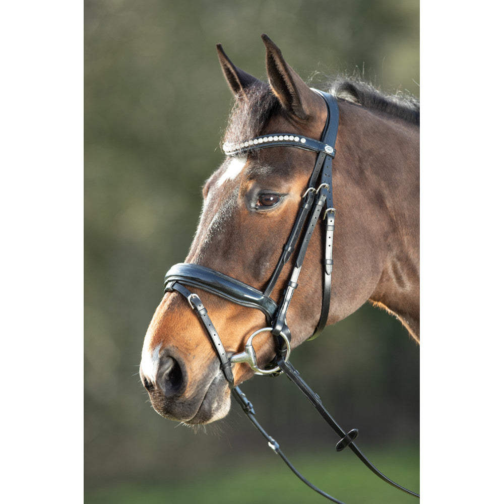 Hfi Bridon Shiny Marron/Or Taille Full