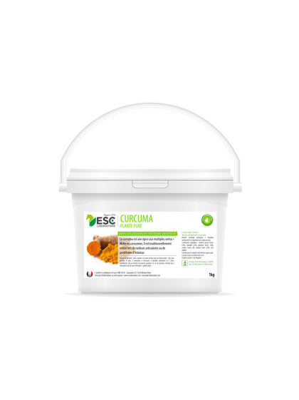 ESC CURCUMA 1KG