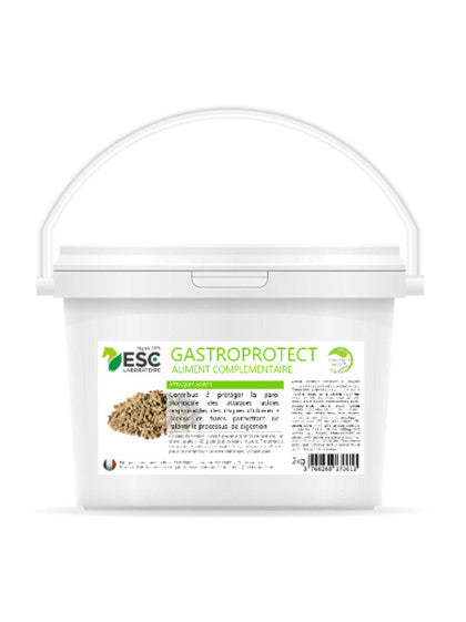 ESC GASTROMIX 1KG