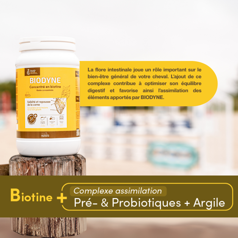 RAVENE BIODYNE 1KG