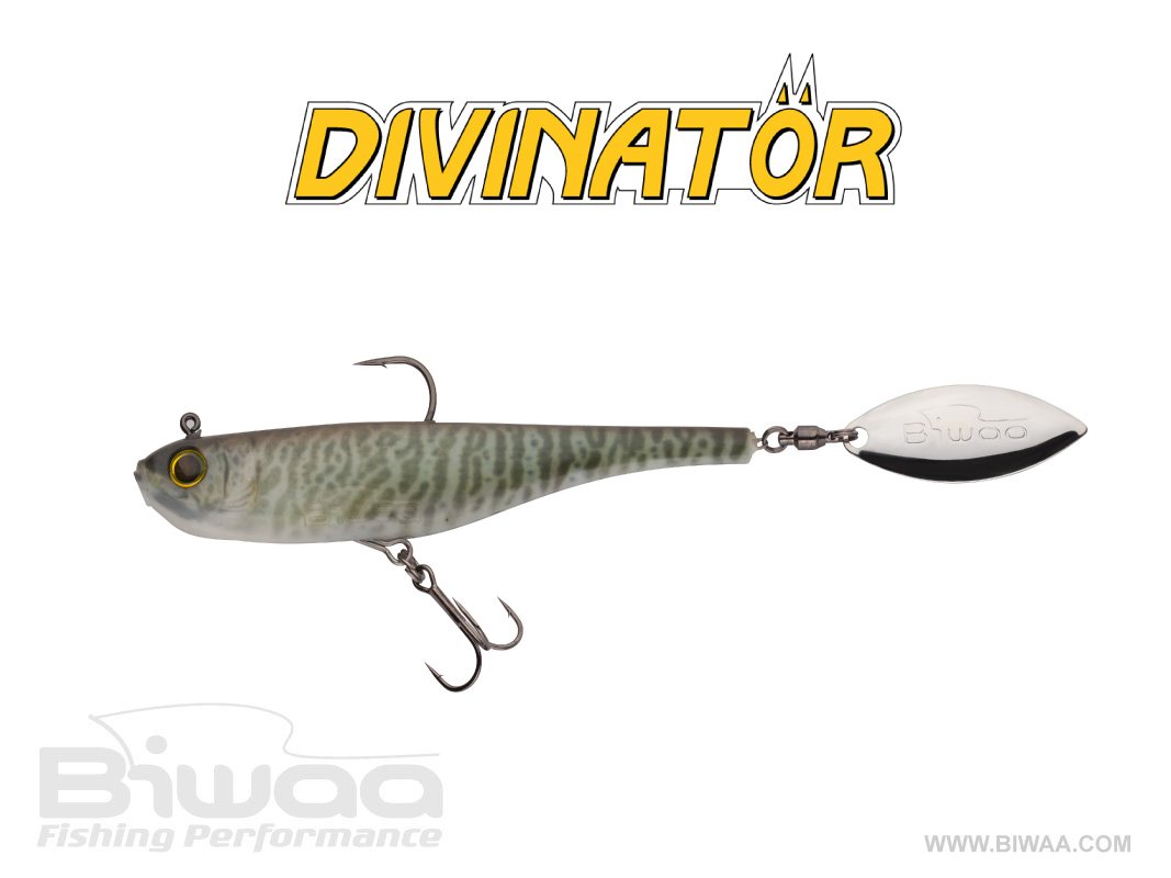 BIWAA DIVINATÖR 200 55G