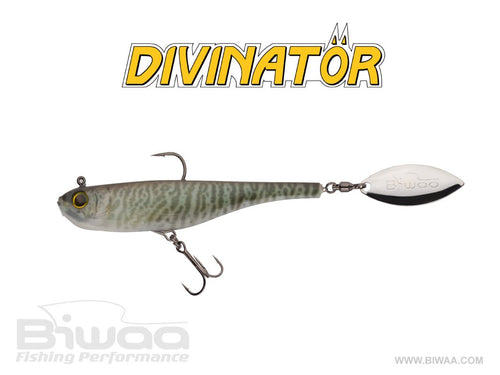 BIWAA DIVINATÖR 200 55G