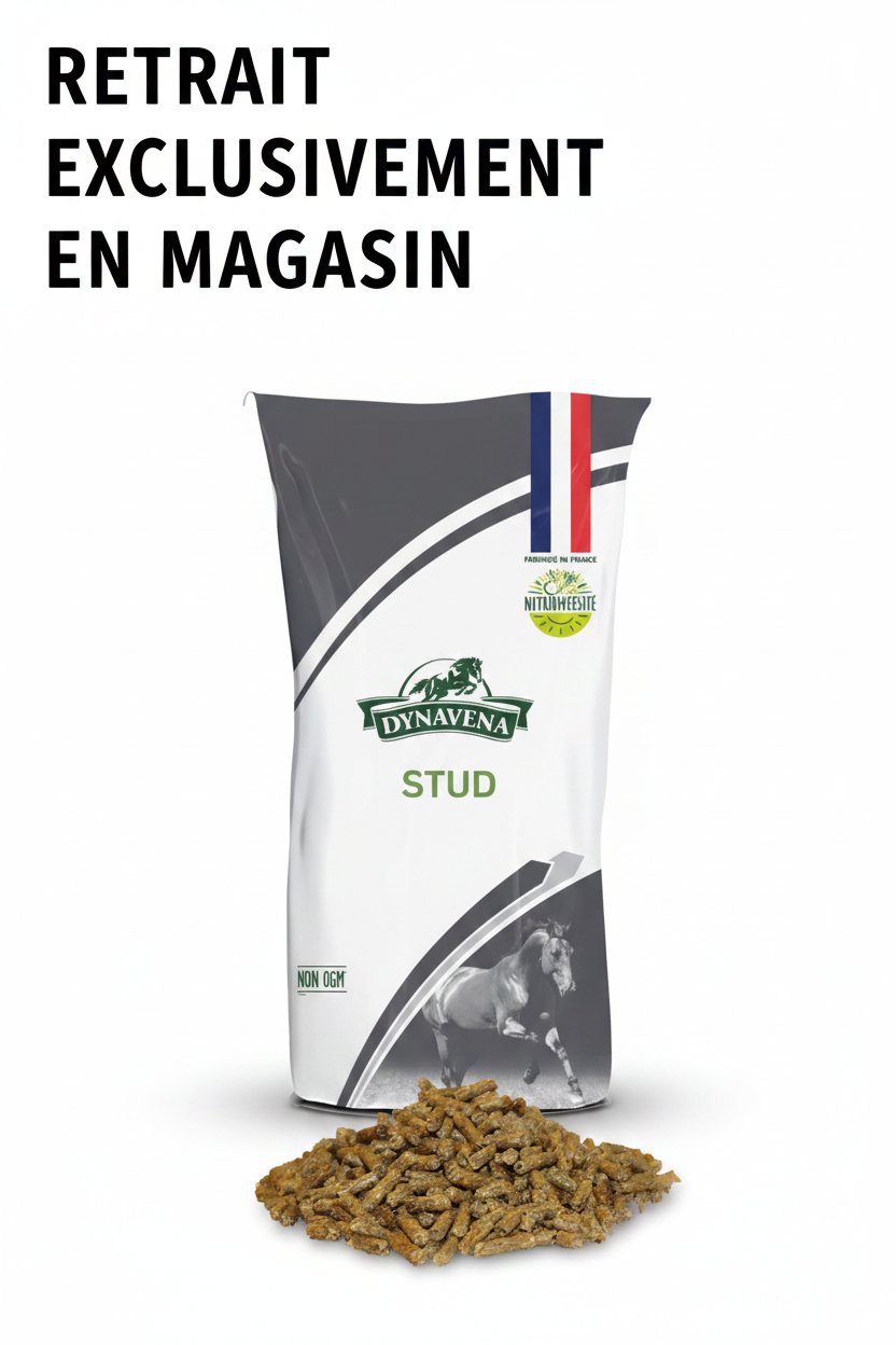 Dynavena Stud – Retrait exclusivement en magasin