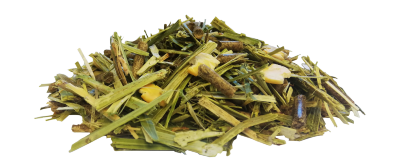DYNAVENA FIB&FIB SANS CEREALES