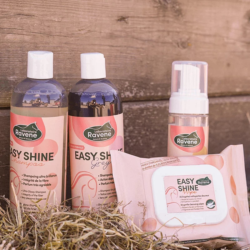 RAVENE EASY SHINE WIPE 25 LINGETTES