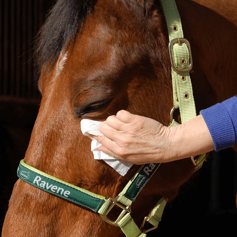 RAVENE EASY SHINE WIPE 25 LINGETTES
