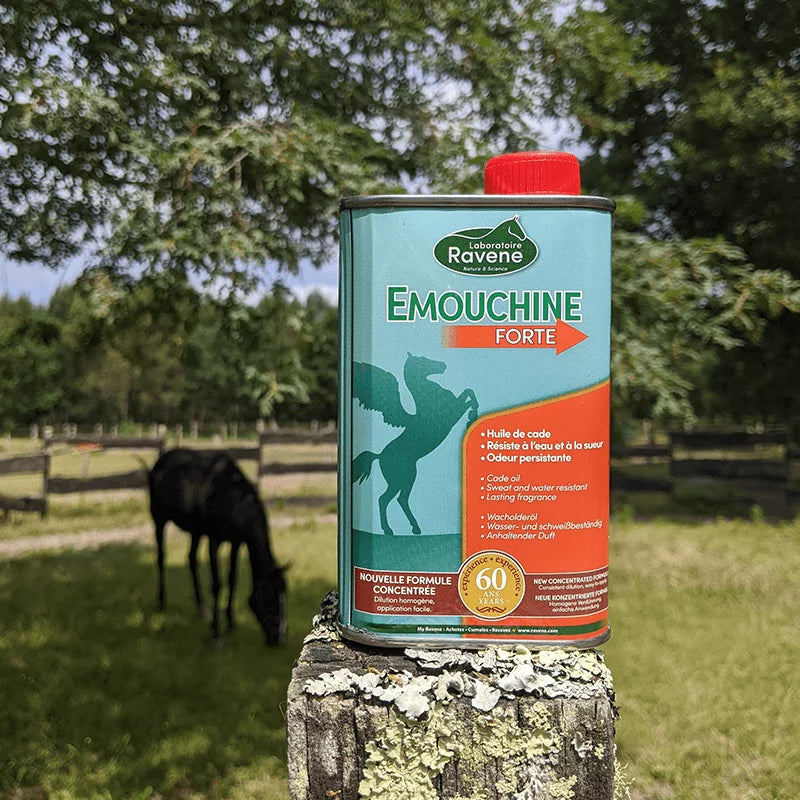 RAVENE EMOUCHINE FORTE 250ML