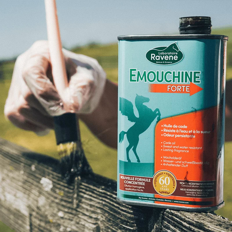 RAVENE EMOUCHINE FORTE 250ML