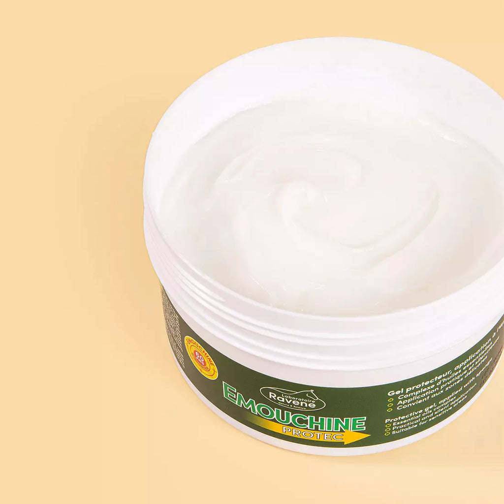RAVENE EMOUCHINE PROTEC POT+ EPONGE 500ML
