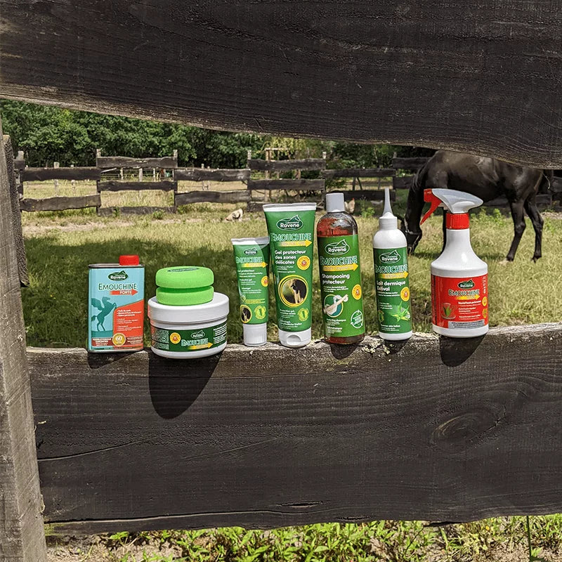 RAVENE EMOUCHINE PROTEC POT+ EPONGE 500ML