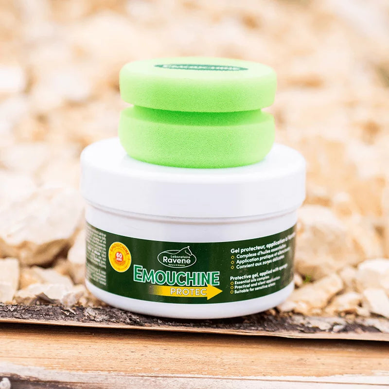 RAVENE EMOUCHINE PROTEC POT+ EPONGE 500ML