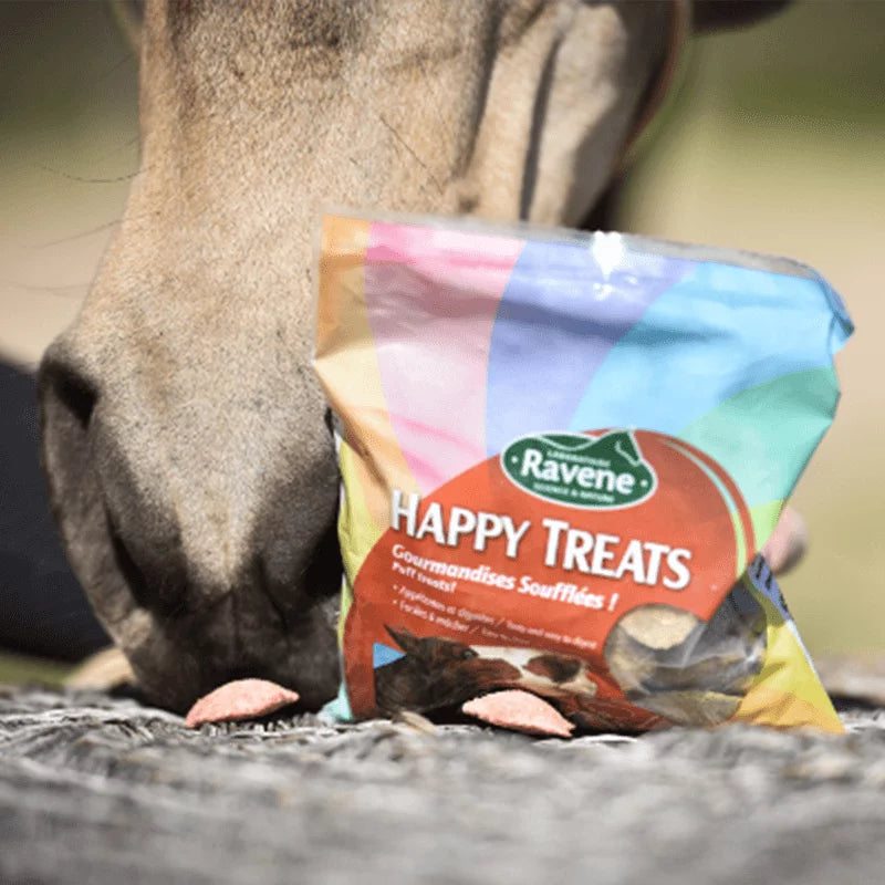 RAVENE HAPPY TREAT DUO FRUITS SAUVAGES & POMME