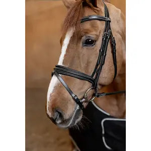 Hfi Bridon Anatomic Noir Taille Full