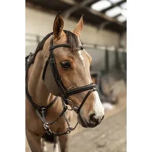 Hfi Bridon Pro Line Milano Marron Taille Cob
