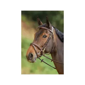 Hfi Bridon Regular Noir Taille Full