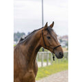 Riding World Licol Ethologique Fin