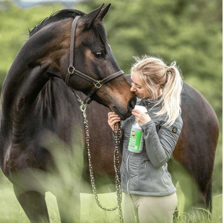 BREMSENBRESME CLASSIC SPRAY 375ML