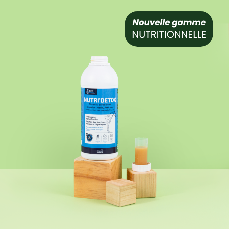 RAVENE NUTRI'DETOX 900ML